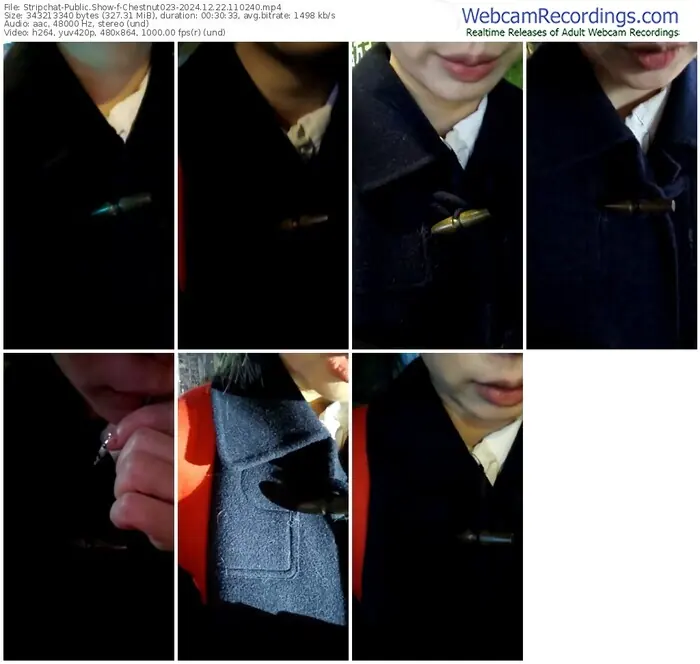 stripchat-chestnut023-12-22-2024-11-02-40