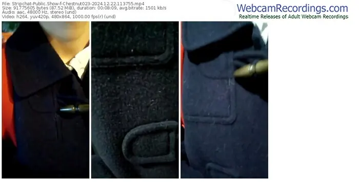 stripchat-chestnut023-12-22-2024-11-37-55