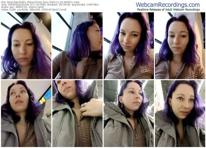 stripchat-frost_foxy-12-22-2024-08-30-11