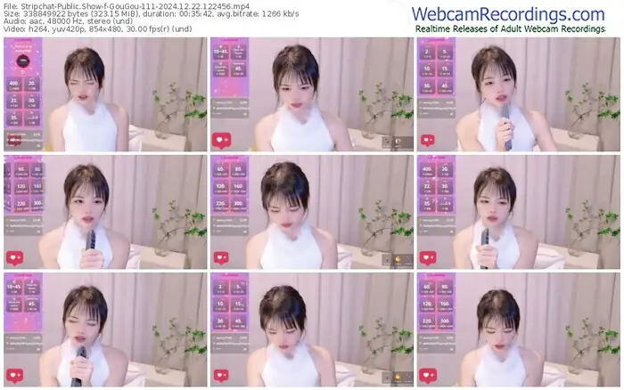 stripchat-gougou-111-12-22-2024-12-24-56