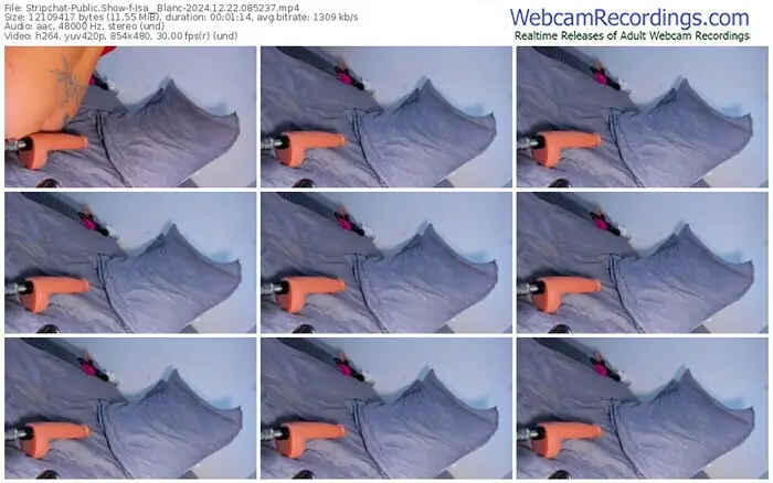 stripchat-isa__blanc-12-22-2024-08-52-37