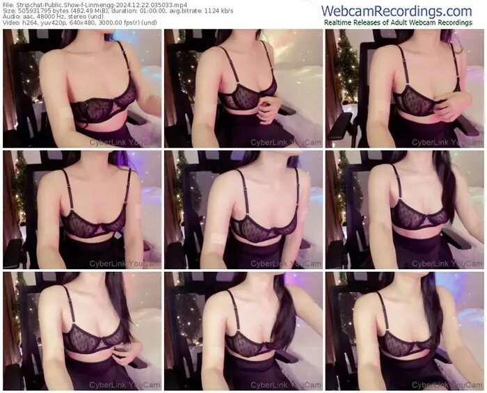 stripchat-linmengg-12-22-2024-03-50-33