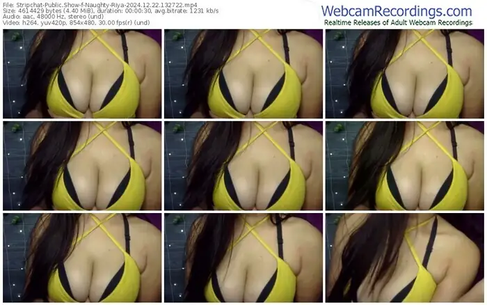 stripchat-naughty-riya-12-22-2024-13-27-22