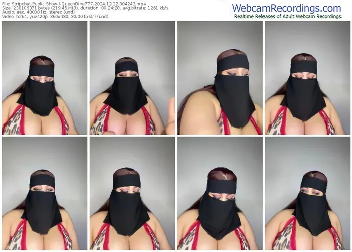 stripchat-queendina777-12-22-2024-00-42-43