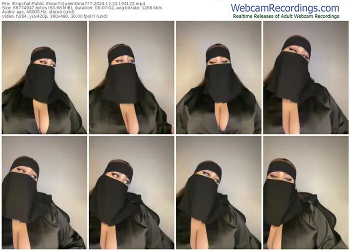 stripchat-queendina777-12-22-2024-19-41-22