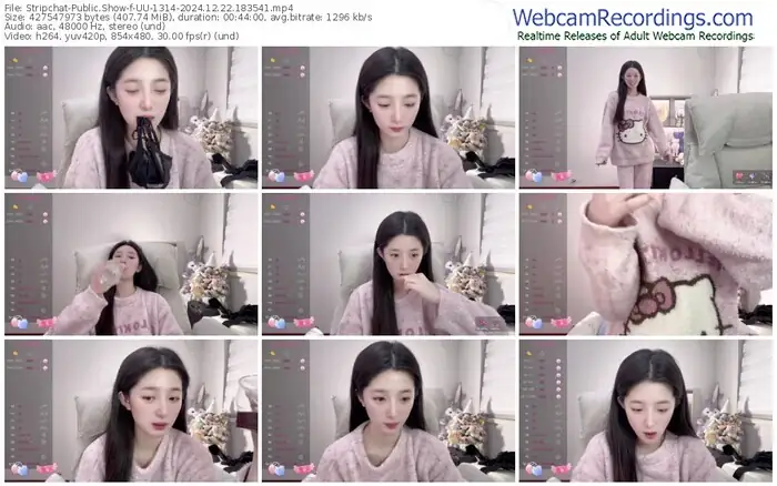 stripchat-uu-1314-12-22-2024-18-35-41