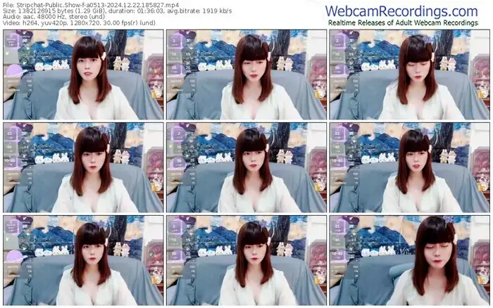 stripchat-a0513-12-22-2024-18-58-27