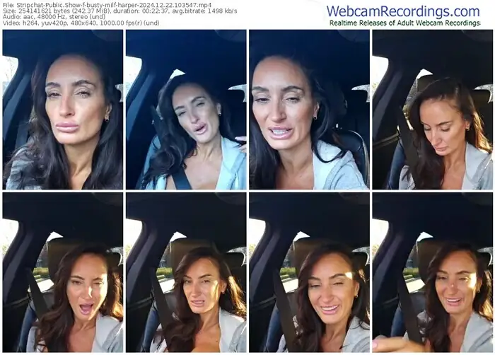stripchat-busty-milf-harper-12-22-2024-10-35-47