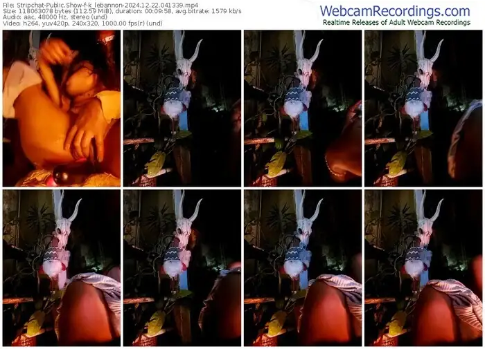 stripchat-k_lebannon-12-22-2024-04-13-39