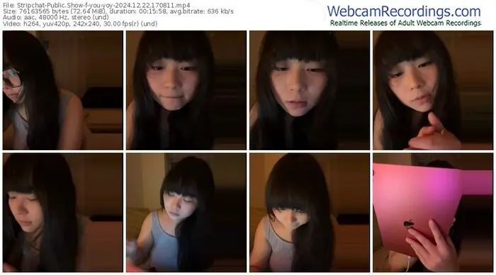 stripchat-you-yoy-12-22-2024-17-08-11