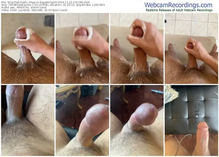 stripchat-egyptking24-12-22-2024-15-12-46