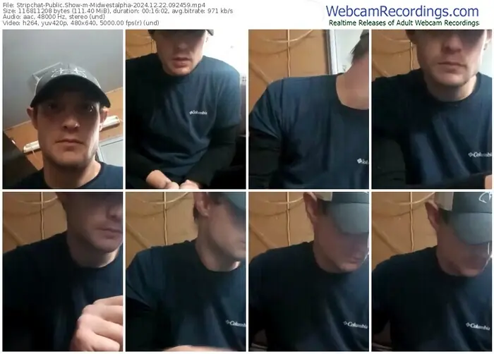 stripchat-midwestalpha-12-22-2024-09-24-59