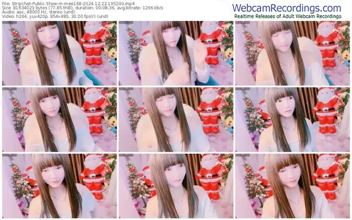 stripchat-mee168-12-22-2024-19-52-00