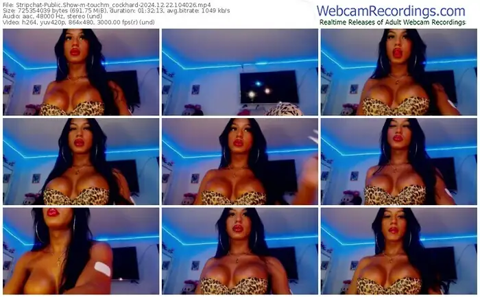 stripchat-touchm_cockhard-12-22-2024-10-40-26