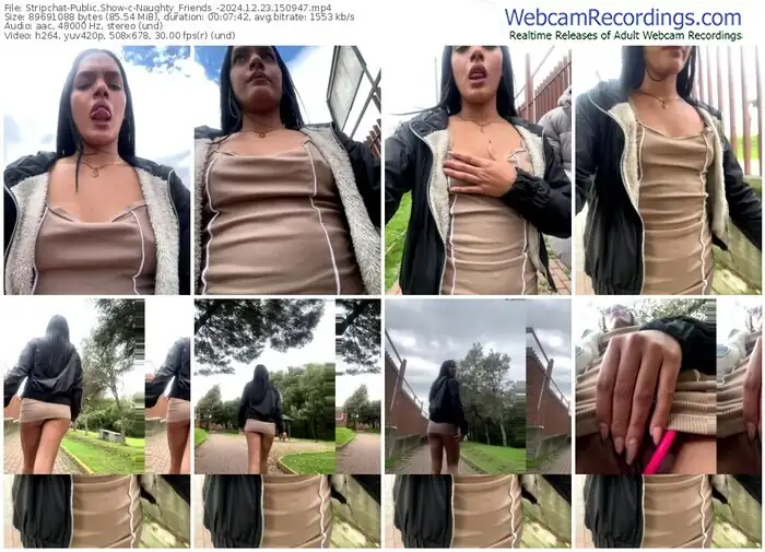 stripchat-naughty_friends_-12-23-2024-15-09-47