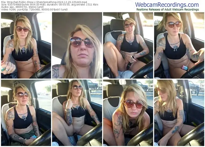 stripchat-sheissomething-12-23-2024-22-54-43