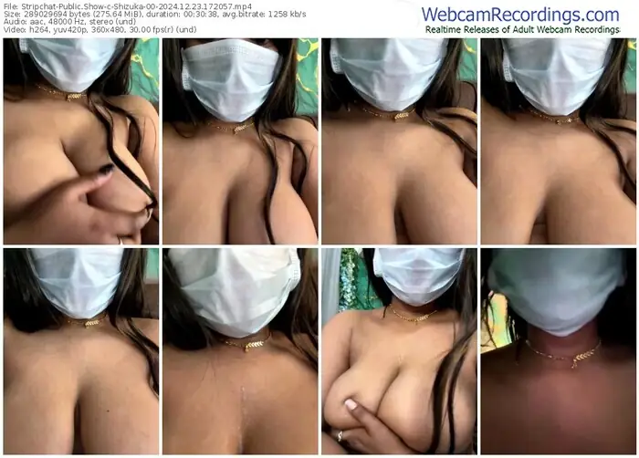 stripchat-shizuka-00-12-23-2024-17-20-57