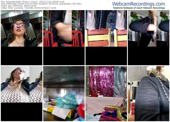 stripchat-_mia17_-12-23-2024-11-59-41