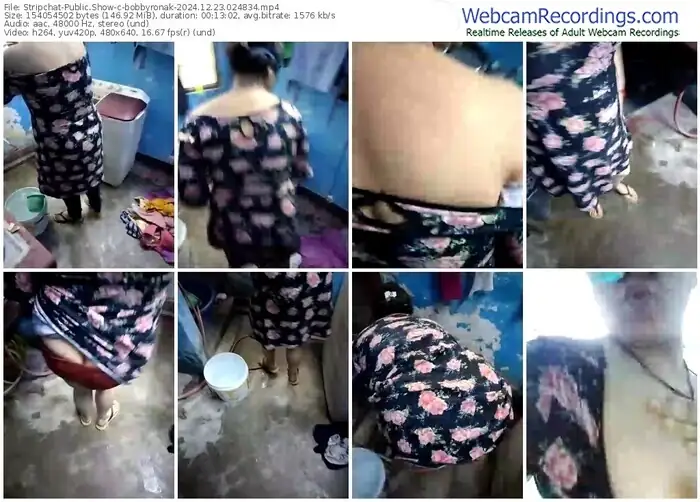 stripchat-bobbyronak-12-23-2024-02-48-34