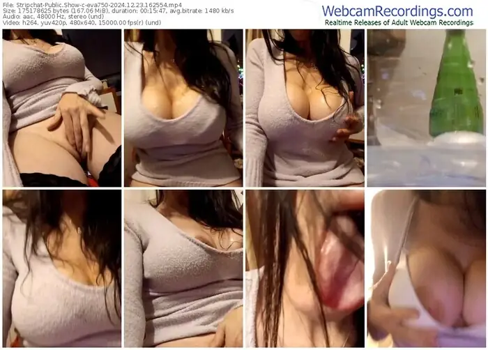 stripchat-eva750-12-23-2024-16-25-54