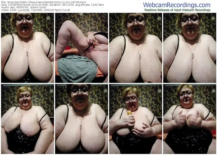 stripchat-awn290668-12-23-2024-12-47-48