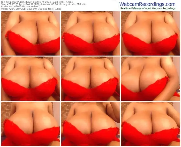stripchat-bigasstitt-12-23-2024-13-09-17