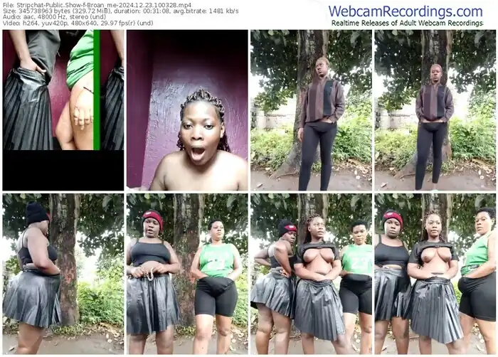 stripchat-broan_me-12-23-2024-10-03-28