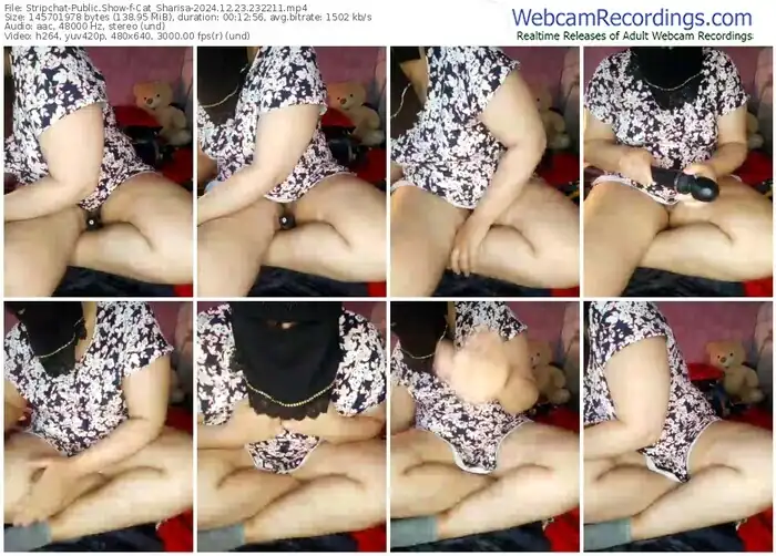 stripchat-cat_sharisa-12-23-2024-23-22-11