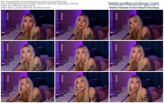 stripchat-dreampussyy-12-23-2024-09-40-35