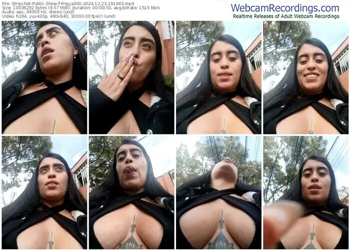 stripchat-freyja300-12-23-2024-19-10-43
