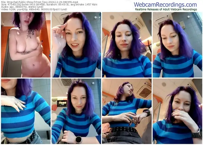 stripchat-frost_foxy-12-23-2024-08-03-55