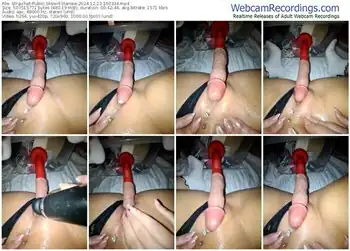 stripchat-iitaniee-12-23-2024-16-03-34