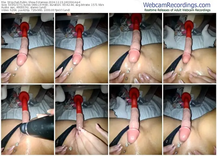 stripchat-iitaniee-12-23-2024-16-03-34