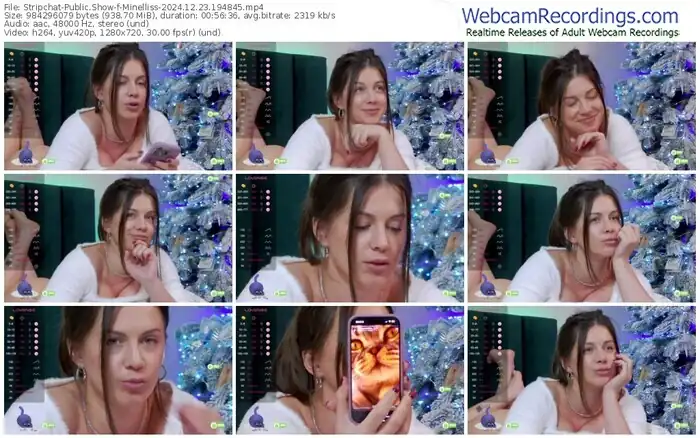 stripchat-minelliss-12-23-2024-19-48-45
