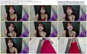 stripchat-n_hibiki-12-23-2024-16-18-18