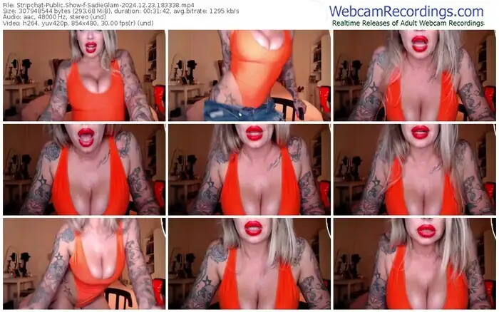 stripchat-sadieglam-12-23-2024-18-33-38