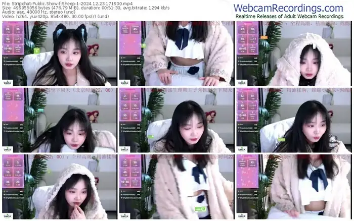 stripchat-sheep-1-12-23-2024-17-19-00