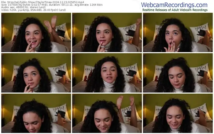 stripchat-taylortinaa-12-23-2024-00-56-52