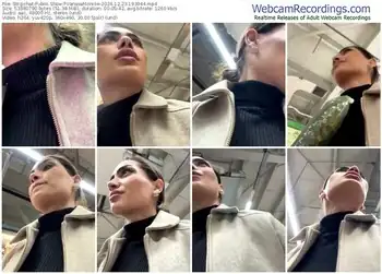 stripchat-vanesamonroe-12-23-2024-19-39-44