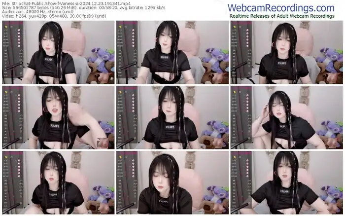 stripchat-vaness-a-12-23-2024-19-13-41