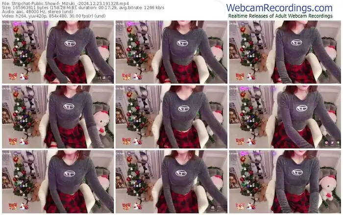 stripchat-_mizuki_-12-23-2024-19-13-28
