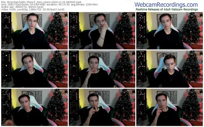 stripchat-_rein_ramm-12-23-2024-08-30-03