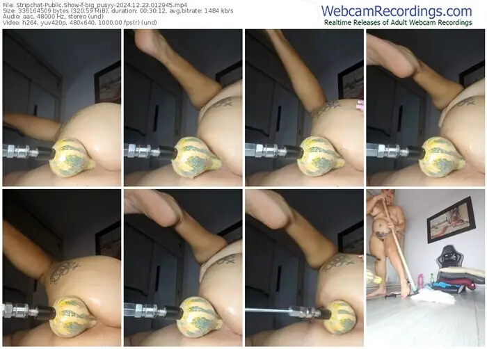 stripchat-big_pusyy-12-23-2024-01-29-45