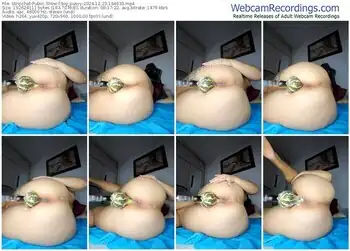 stripchat-big_pusyy-12-23-2024-18-46-33