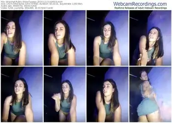 stripchat-waspy-12-23-2024-02-45-16