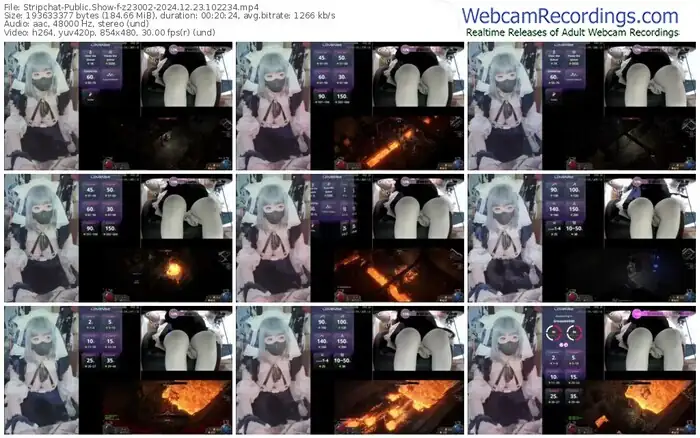 stripchat-z23002-12-23-2024-10-22-34