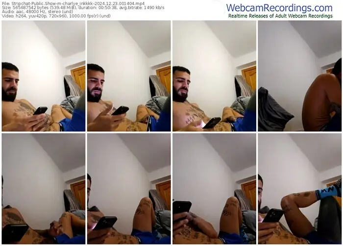 stripchat-charlye_inkkkk-12-23-2024-00-14-04