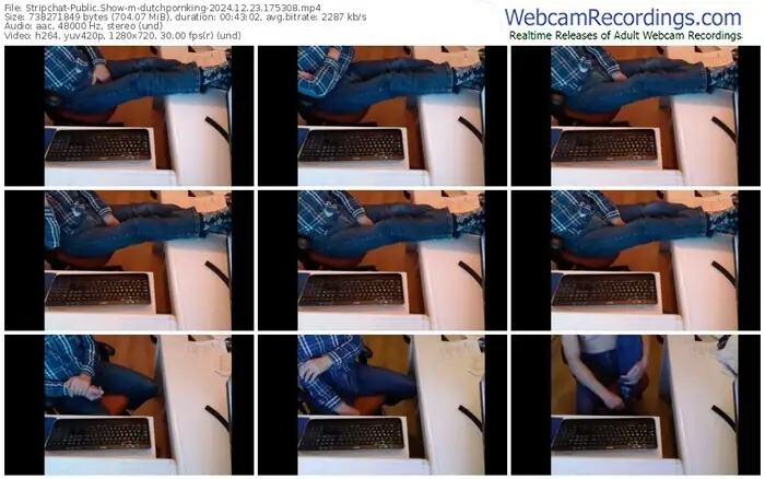 stripchat-dutchpornking-12-23-2024-17-53-08