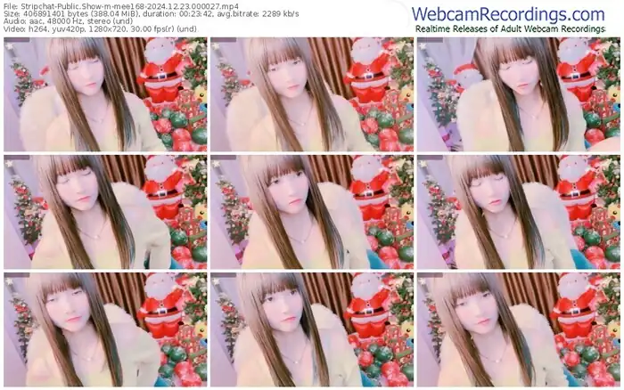 stripchat-mee168-12-23-2024-00-00-27