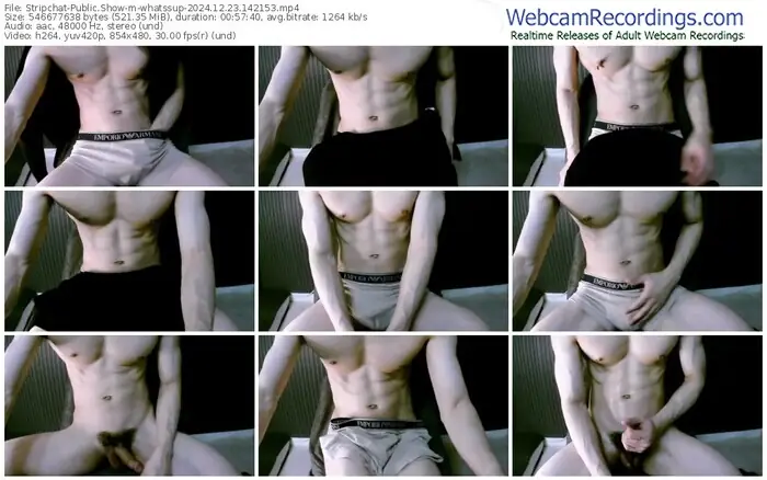 stripchat-whatssup-12-23-2024-14-21-53